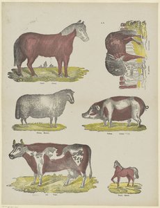 Animali da Franciscus Antonius Beersmans