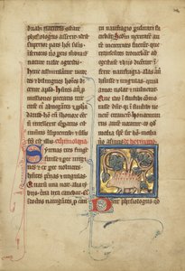 Un riccio da un bestiario Ms Ludwig XV 4, fol. 82, c.1280-1300 da Franco Flemish School