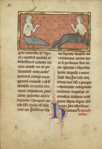 Una sirena e un centauro da un bestiario Ms Ludwig XV 4, fol. 81v, c.1280-1300 da Franco Flemish School