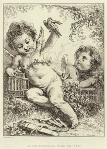 La Tortorella Messa in Gabbia da Francois (after) Boucher