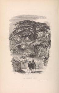 Le Jardin des Plantes, Descrizioni e costumi dei mammiferi da Francois Boitard