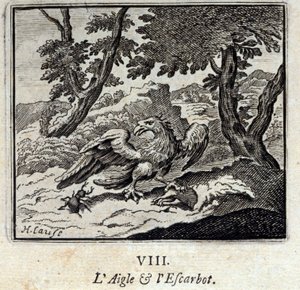 Aquila e lumaca