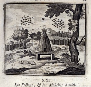 Calabroni e mosche del miele da Francois Chauveau