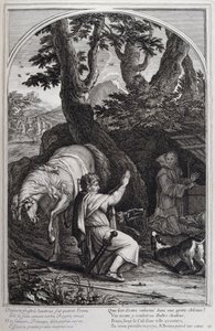 Illustrazione da 