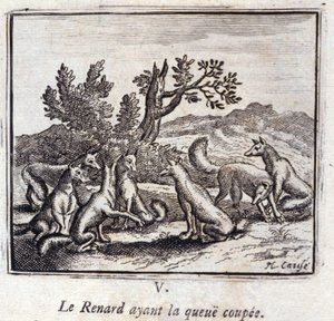 Illustrazione dalle 