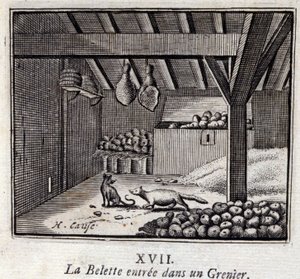 La donnola entrò in un granaio. Favole di Jean de La Fontaine. Illustrazione di François Chauveau. Edizione del 1728. da Francois Chauveau