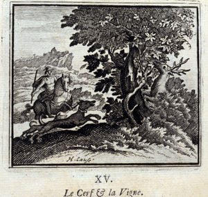 Il Cervo e la Vite. Favole di Jean de La Fontaine (1621-95). Illustrazione di François Chauveau (1613-1676). Edizione del 1728 da Francois Chauveau