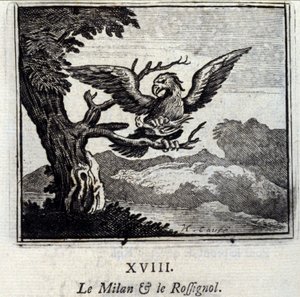Il milano e l