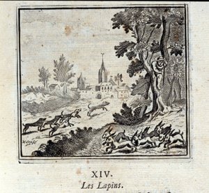 Conigli. Favole di Jean de La Fontaine (1621-95). Illustrazione di François Chauveau (1613-1676). Edizione del 1728 da Francois Chauveau