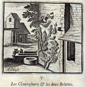 Il pipistrello e le due donnole. Favole di Jean de La Fontaine. Illustrazione di François Chauveau. Edizione del 1728 da Francois Chauveau