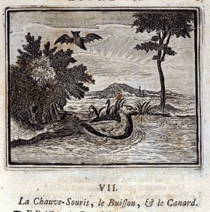 Il pipistrello, il cespuglio e l