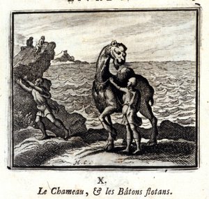 Il cammello e i bastoni galleggianti. Favole di Jean de La Fontaine. Illustrazione di François Chauveau. Edizione del 1728.