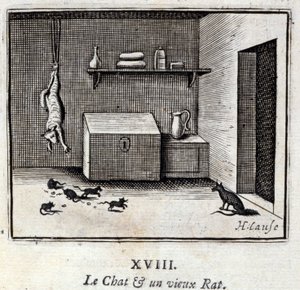 Il gatto e un vecchio topo