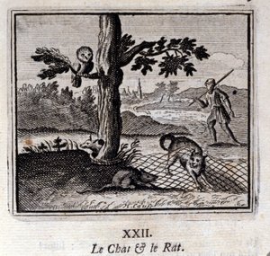 Il gatto e il topo