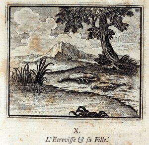 Il gambero e sua figlia. Favole di Jean de La Fontaine. Illustrazione di François Chauveau. Edizione del 1728 da Francois Chauveau