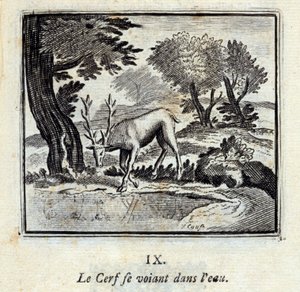 Il cervo che si vede nell