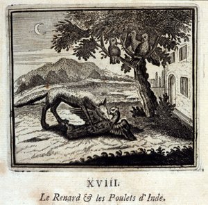 La volpe e i polli d