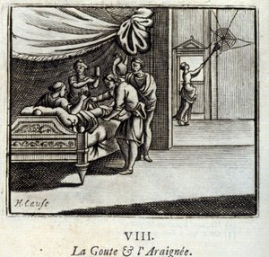 La gotta e il ragno da Francois Chauveau