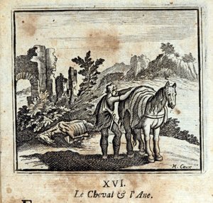 Il cavallo e l