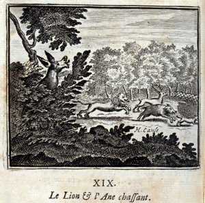 Il leone e l
