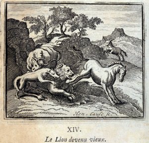 Il leone invecchiato da Francois Chauveau