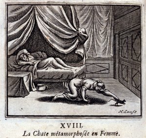 Il Gatto trasformato in Donna. Favole di Jean de La Fontaine (1621-95). Illustrazione di François Chauveau (1613-1676). Edizione del 1728