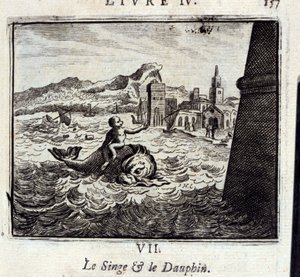 La scimmia e il delfino