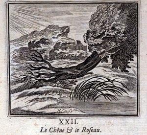 La quercia e la canna. Favole di Jean de La Fontaine. Illustrazione di François Chauveau. Edizione del 1728