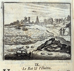 Il topo e l