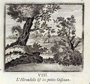 La rondine e i piccoli uccelli. Favole di Jean de La Fontaine. Illustrazione di François Chauveau. Edizione del 1728. da Francois Chauveau