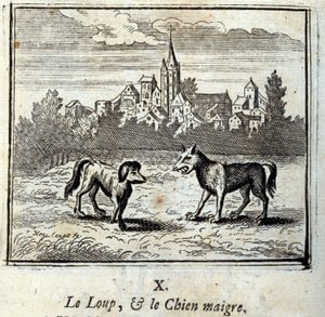 Il lupo e il cane magro