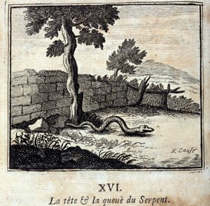 La testa e la coda del serpente. Favole di Jean de La Fontaine (1621-95). Illustrazione di François Chauveau (1613-1676). Edizione del 1728.
