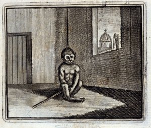 La scimmia da Francois Chauveau