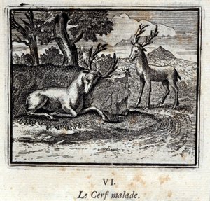 Il cervo malato. Favole di Jean de La Fontaine (1621-95). Illustrazione di François Chauveau (1613-1676). Edizione del 1728 da Francois Chauveau