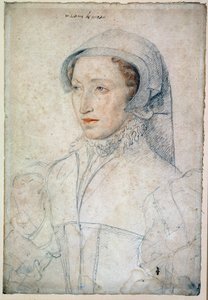 Ritratto di Françoise Mareschal del Parc dama di Mitte-de-Miolans, moglie di Giovanni III di Miolans (circa 1520-1575). Dama d