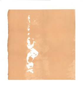 Derviscio roteante da Francois Domain