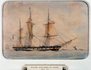 Nave baleniera a Havre