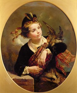 Il falco