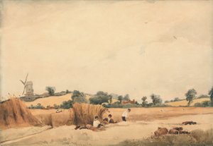 Raccolta da Francois Louis Thomas Francia