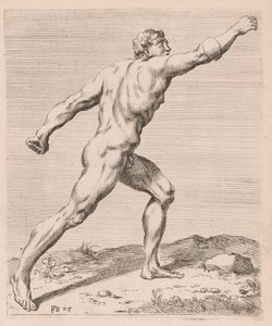 Il Gladiatore Borghese, vista laterale, girato a destra [tavola 28]