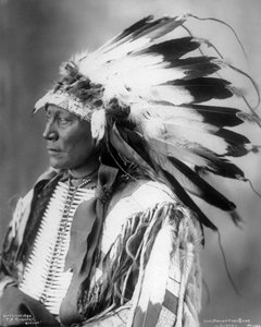 Capo Hollow Horn Bear, Sioux, 1898 da Frank Albert Rinehart