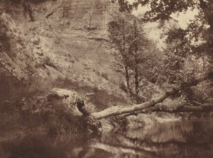 Riva del fiume, c. 1855 da Frank Chauvassaigne