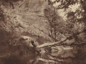 Riva del fiume, c. 1855 (foto)