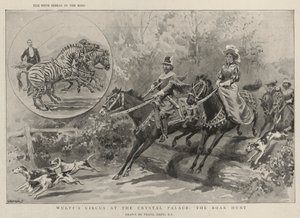 Il circo di Wulff al Crystal Palace, la caccia al cinghiale