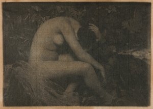 La cicala