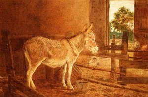 Una riflessione