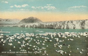 Ghiacciaio Muir, Glacier Bay, Alaska, USA (foto a colori)
