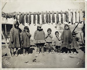 Sotto la fila di salmoni