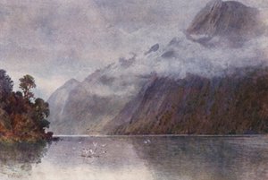 Nuova Zelanda: Nel Milford Sound da Frank H Wright