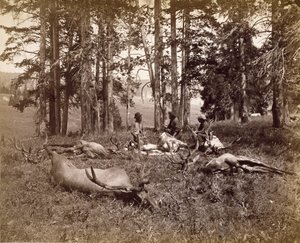 Cacciatori di alci, Yellowstone, c.1880 da Frank Jay Haynes